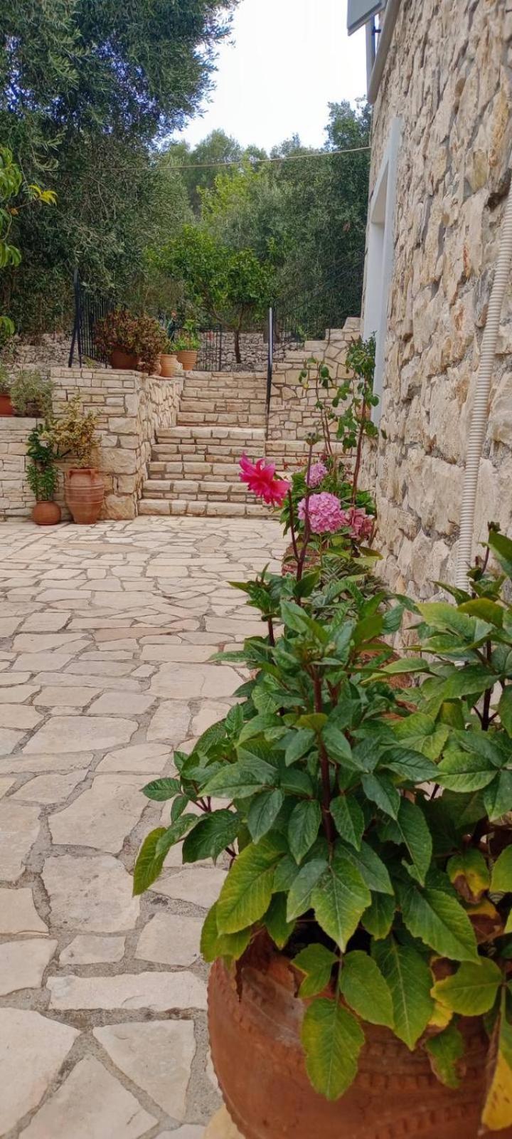 Villa Makris Zenempisatika Dış mekan fotoğraf