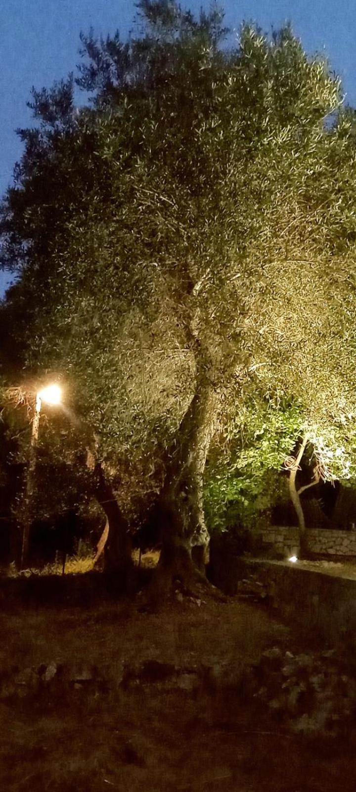 Villa Makris Zenempisatika Dış mekan fotoğraf